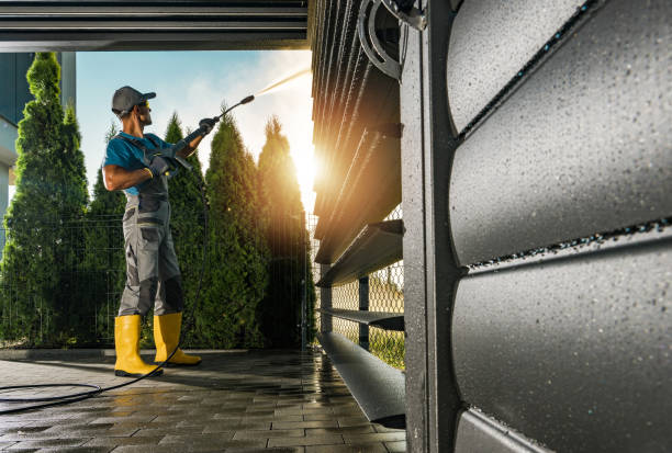 Best Roof Power Washing Services  in Walbridge, OH