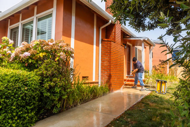 Best Exterior Home Cleaning  in Walbridge, OH